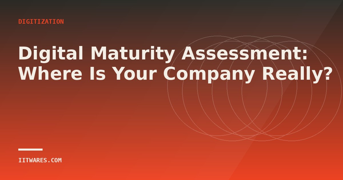 Digital Maturity Assessment: Where Is Your Company Really?