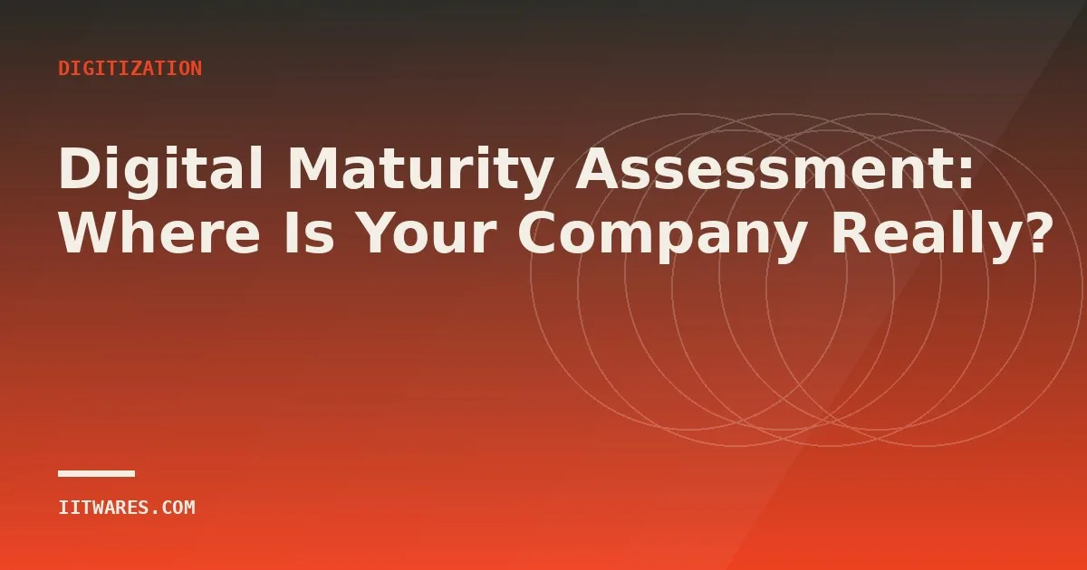 Digital Maturity Assessment: Where Is Your Company Really?