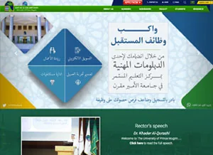 University of Prince Mugrin